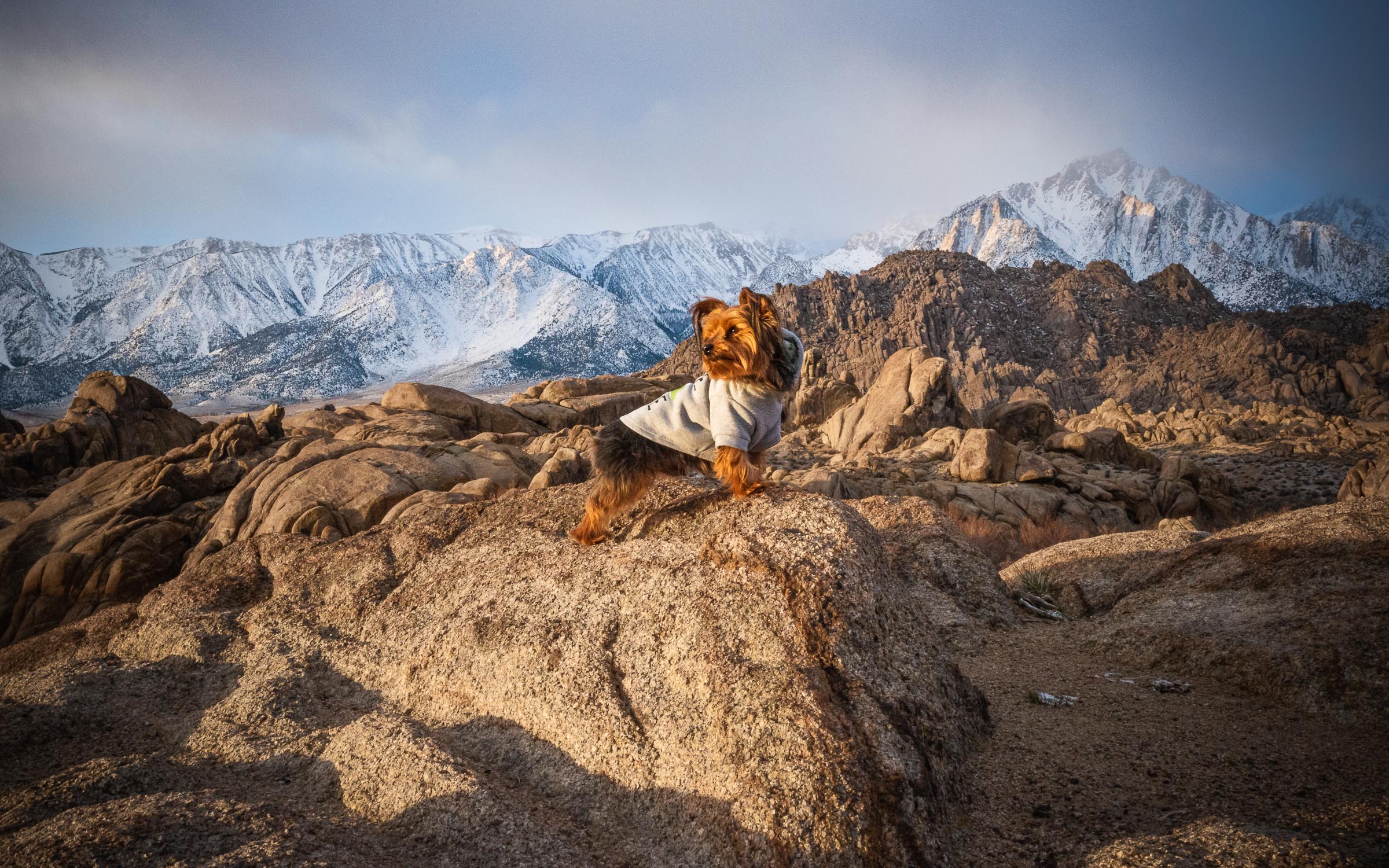Majestic fine art landscape photo of Small Dog in Alabama Hills, near Lone Pine Peak
