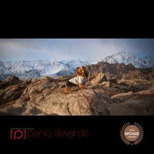 2020 Epson Pano Award Bronze Winner