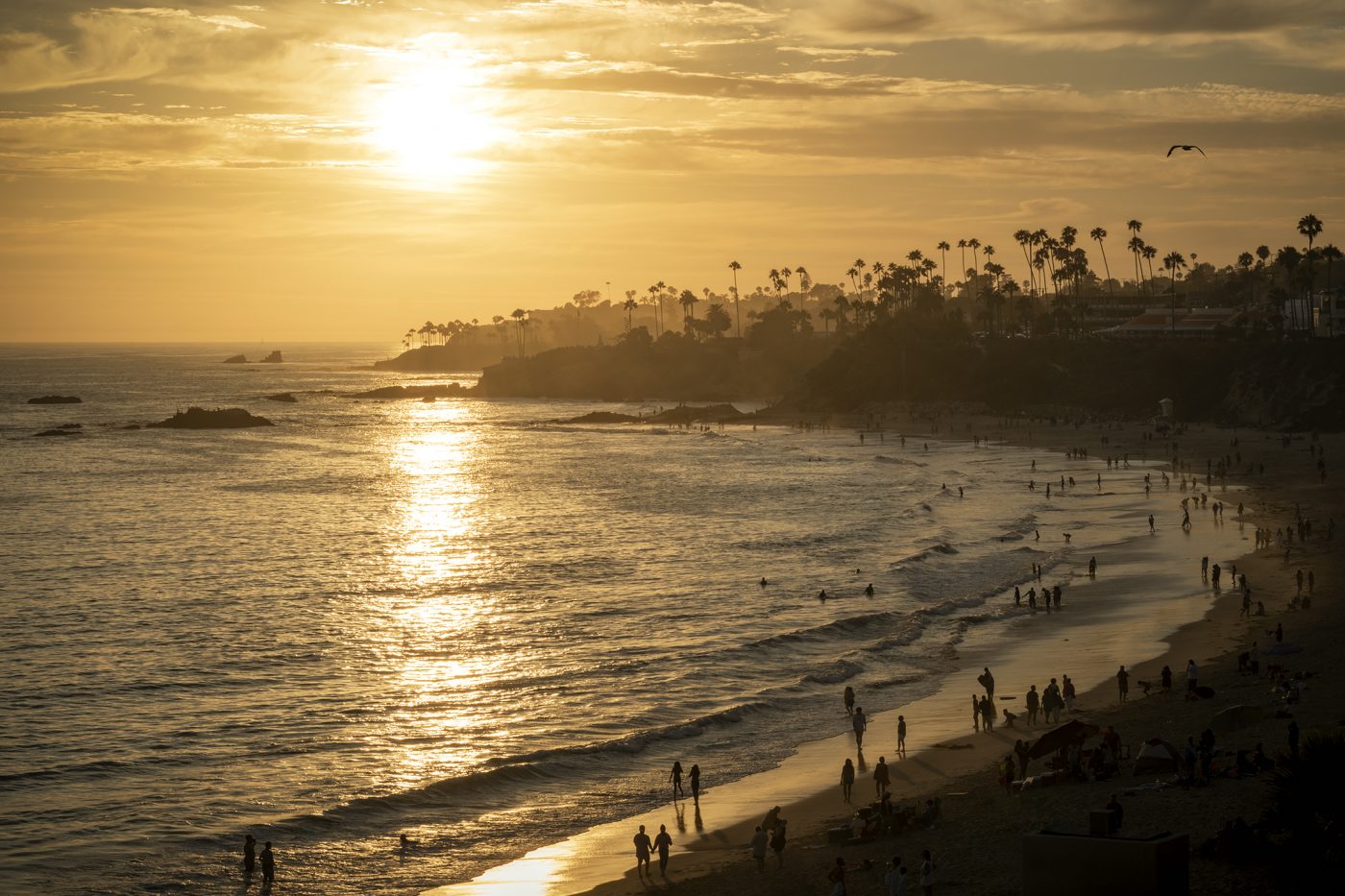 Golden sunset along the shores of Laguna Beach, CA.