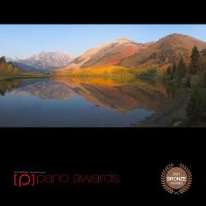 2021 Epson Pano Awards Bronze Badge