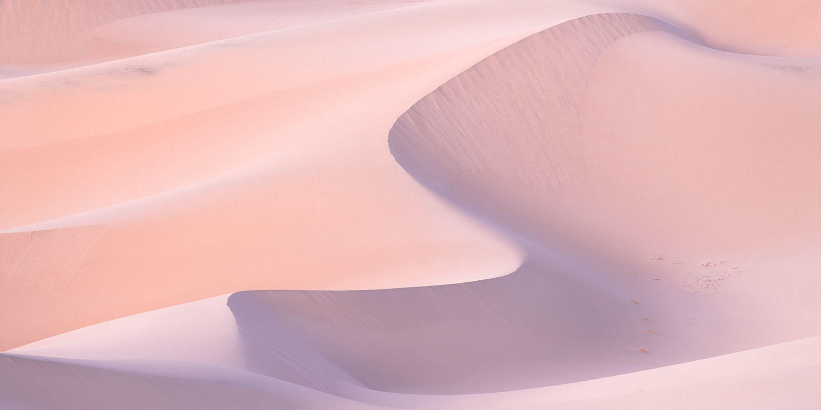 Glowing pink sand dunes in Death Valley National Park.