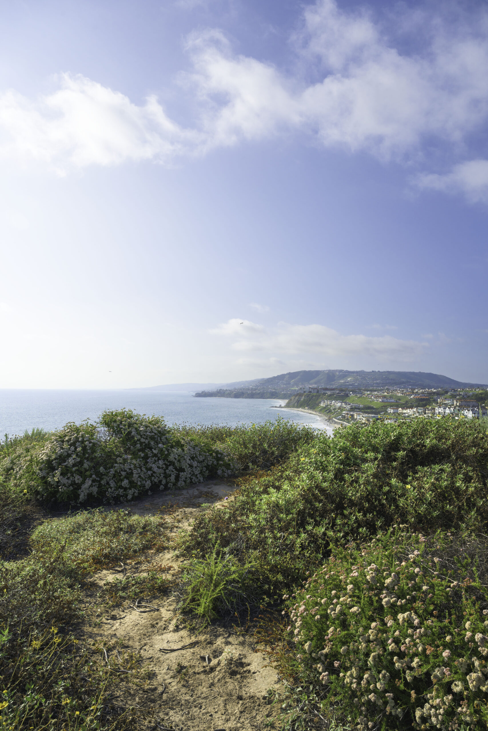 Coastal views of Dana Point, California.